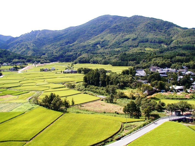 田染荘